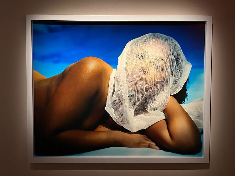 Nude - Malerie Marder