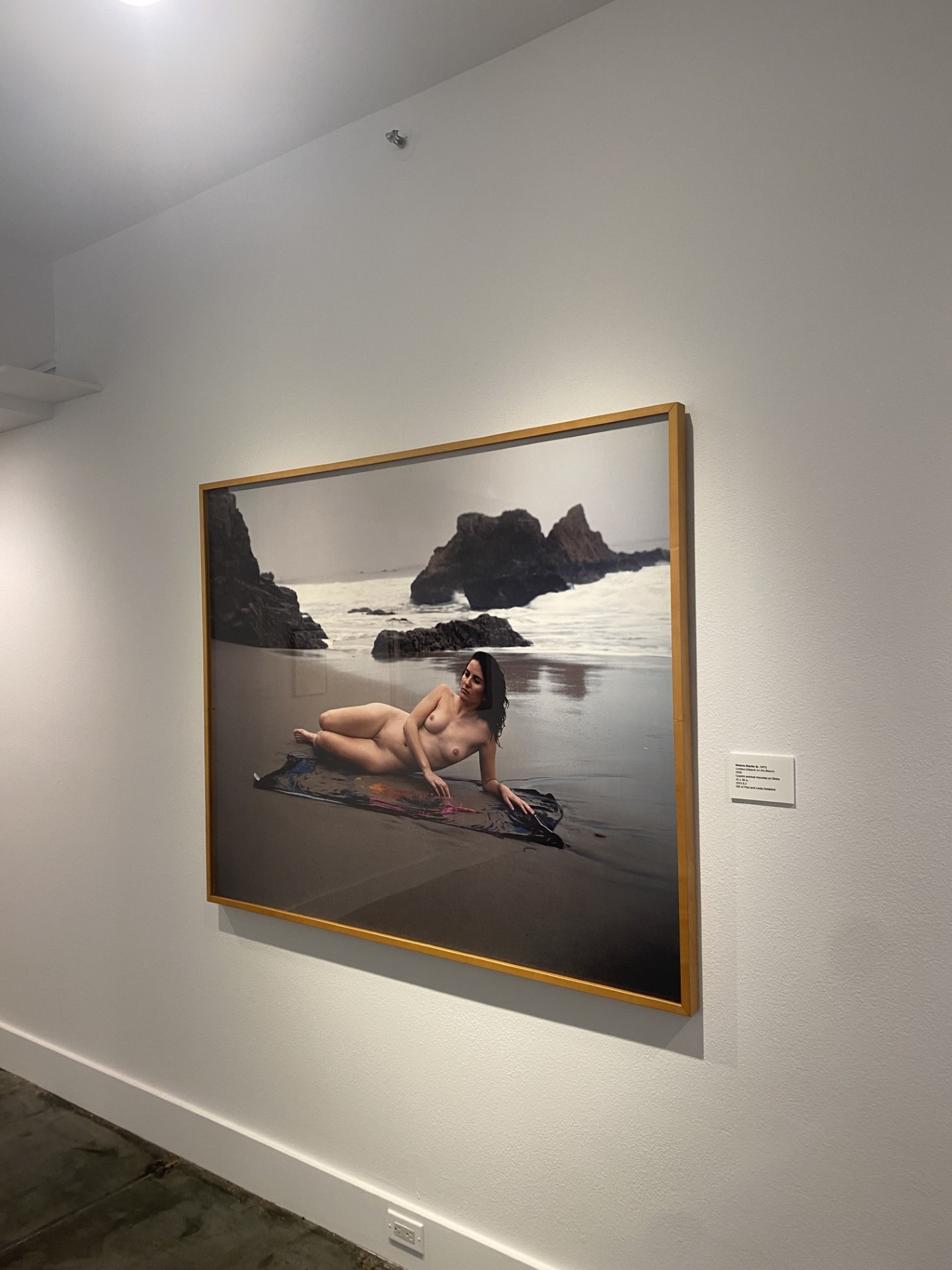 New Works - Laguna Art Museum - Malerie Marder