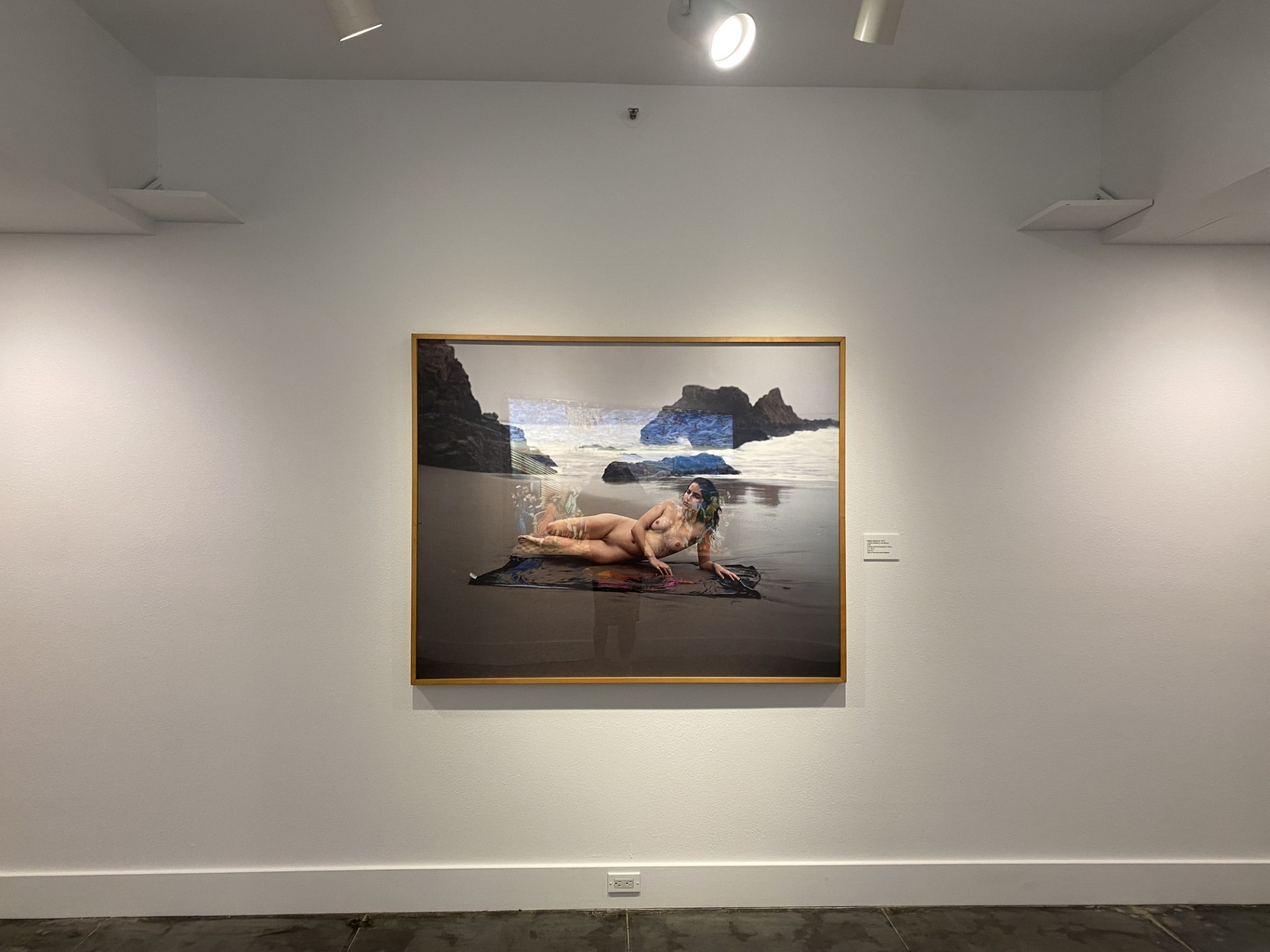 New Works - Laguna Art Museum - Malerie Marder